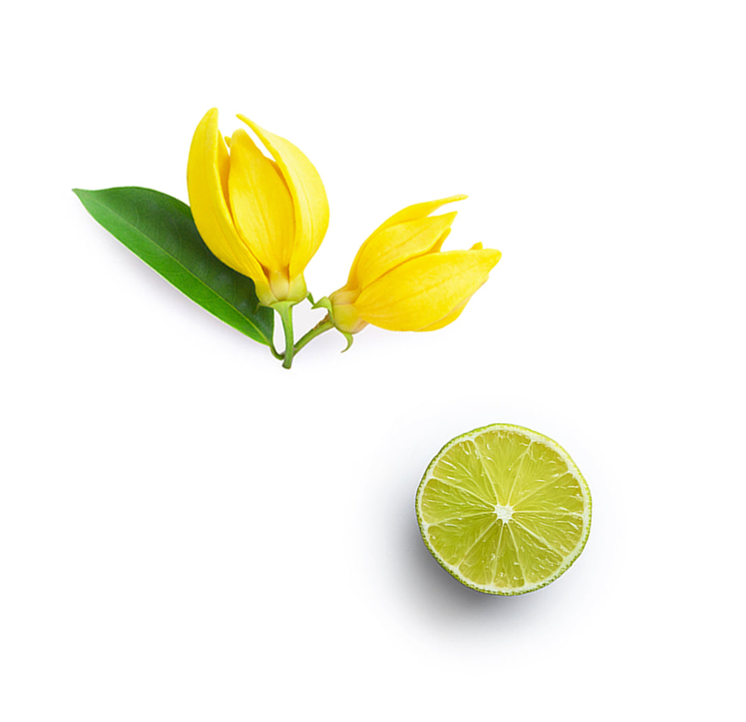 lipbalmtropical whats inside 1085x1050 eu