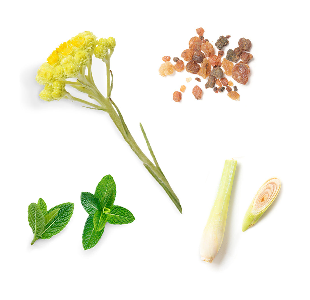 Doterra sun ajakbalzsam