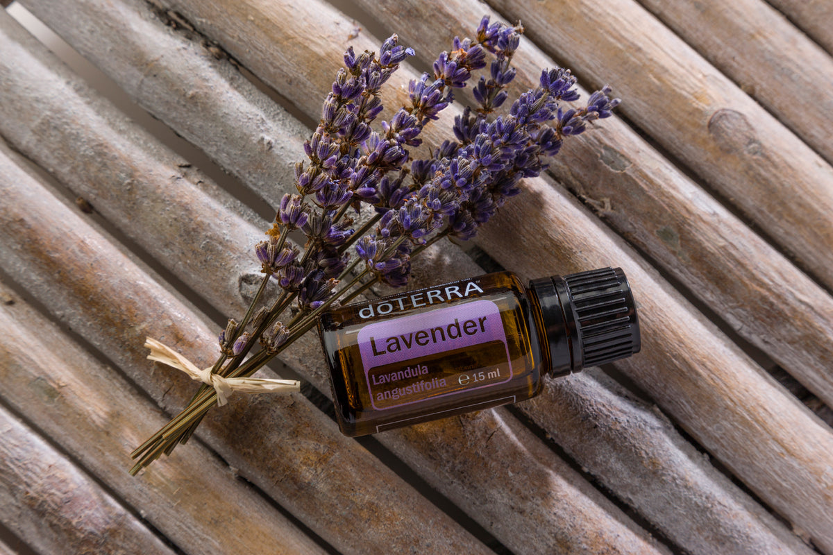 doTERRA levendula illóolaj 15mg - Lavender