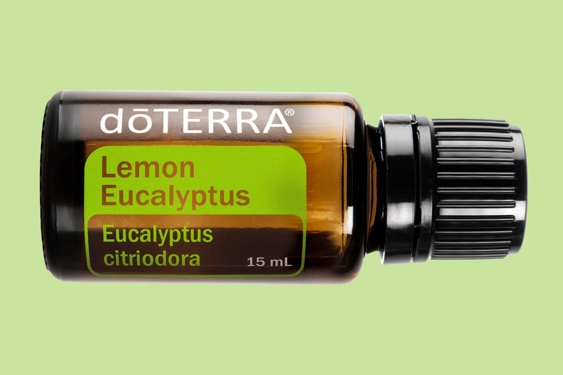 Doterra Lemon Eucalyptus picture