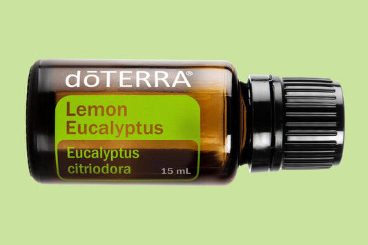 Doterra Lemon Eucalyptus picture