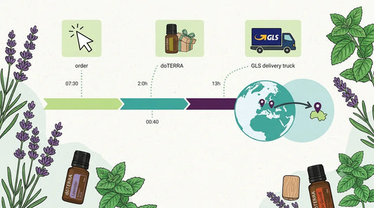 VoniaStore fulfillment time and delivery time