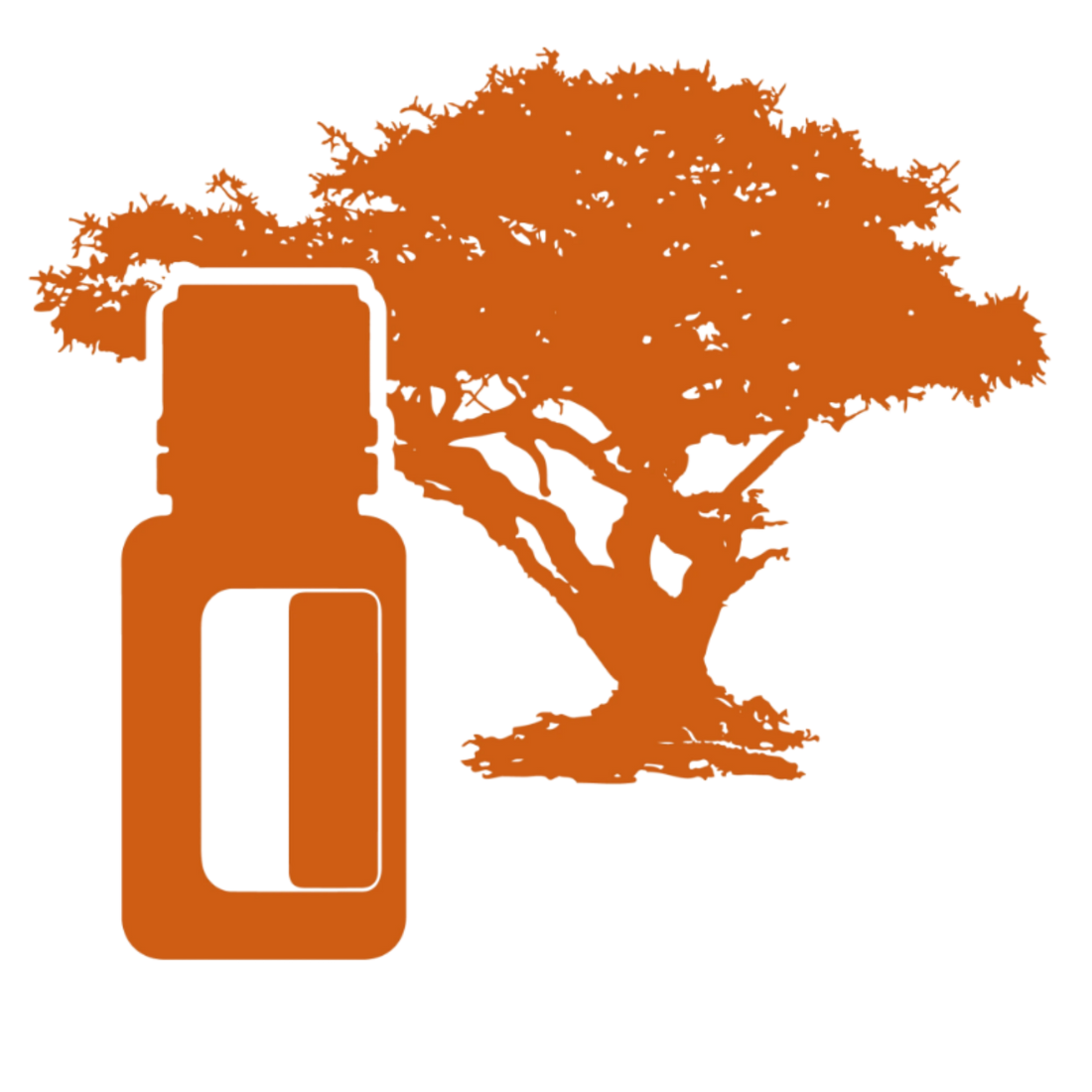 Doterra Frankincense - how it is made