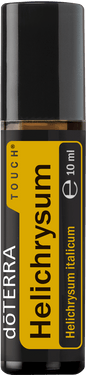 helichrysum touch large 310x1350 eu