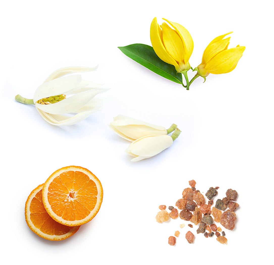 Doterra sun mindennapos ásványi fényvédő és hidratálókrém arcra alapanyagai