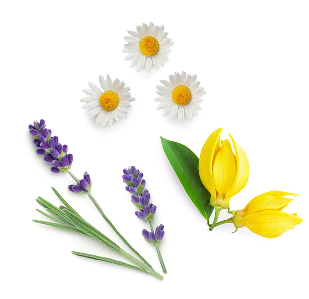 doterra serenity illóolaj keverék mi van benne