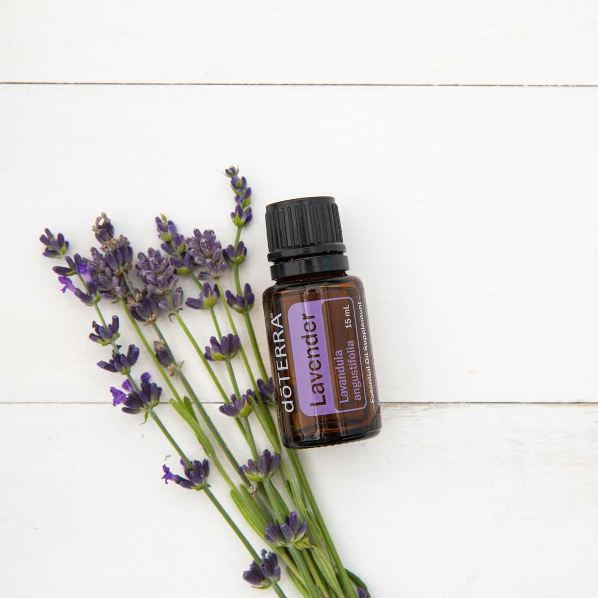 doTERRA levendula illóolaj 15mg - Lavender