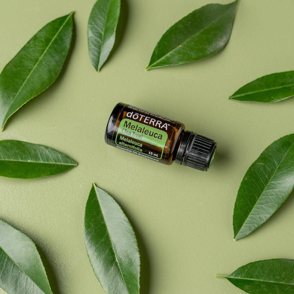 Doterra Teafa (Tea tree) illóolaj 15 ml
