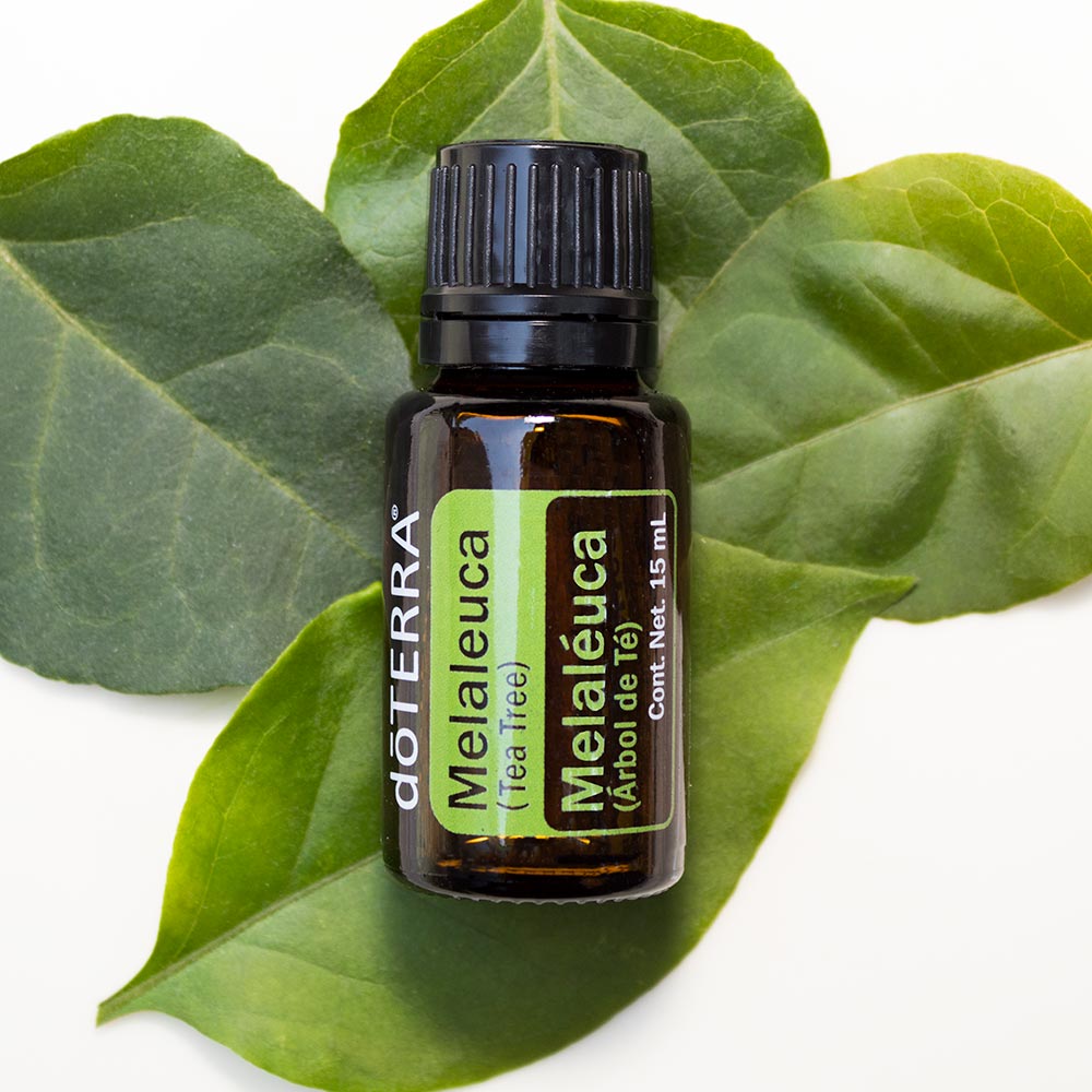 Doterra Teafa (Tea tree) illóolaj 15 ml