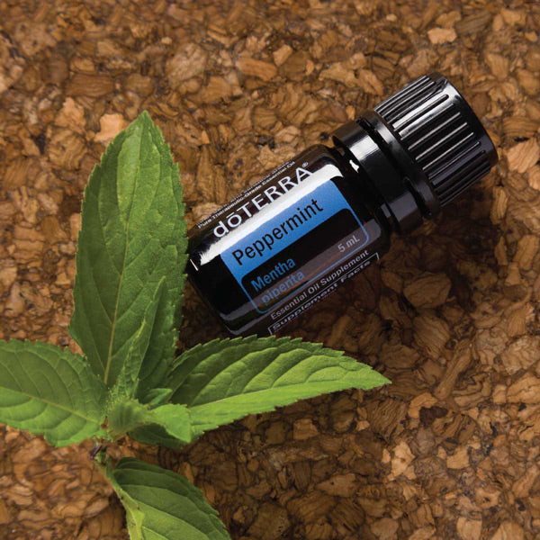 borsmenta doterra