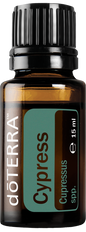 cypress15ml large 500x1350 eu