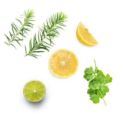 doterra purify illóolaj keverék mi van benne