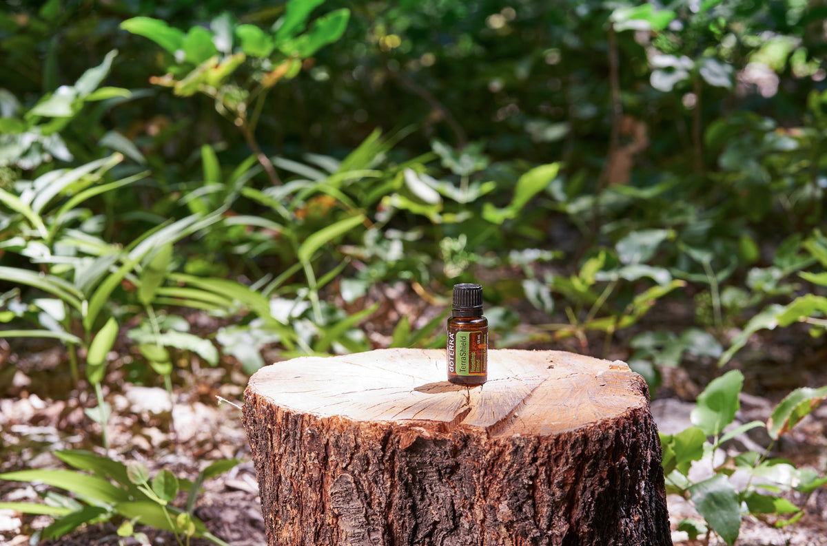 doterra terrashield 15ml illóolaj keverék