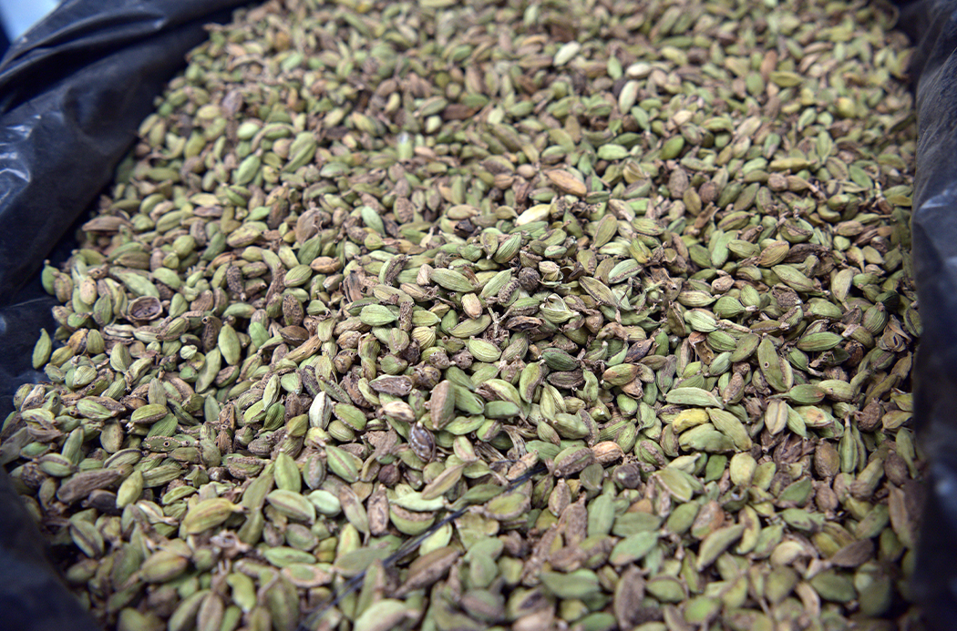 Kardamom - cardamom doterra illóolajak alapanyaga