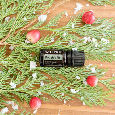 Doterra duglász fenyő douglas fir