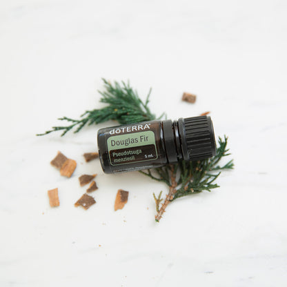 Doterra duglász fenyő douglas fir