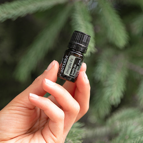 Doterra duglász fenyő douglas fir