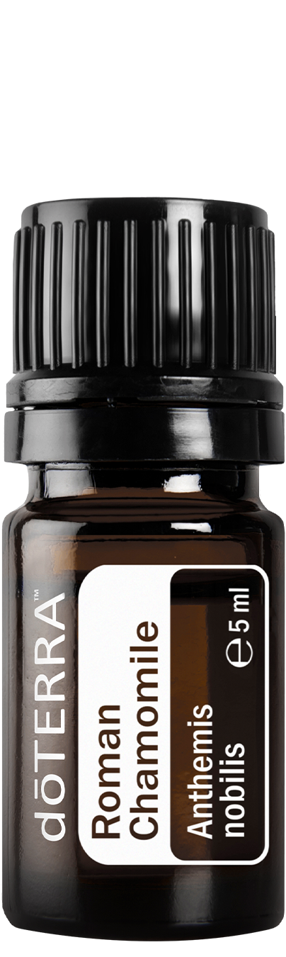romanchamomille5ml large 404x1350 eu
