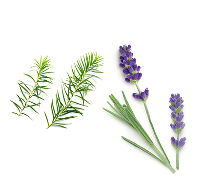 Doterra baby popsikrém összetevői