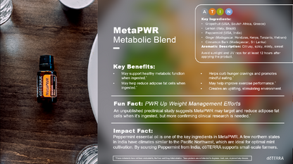 Doterra MetaPWR rendszer