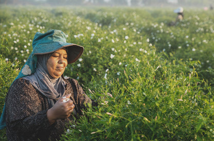 Doterra Jasmine oil and sourcing the jasmine