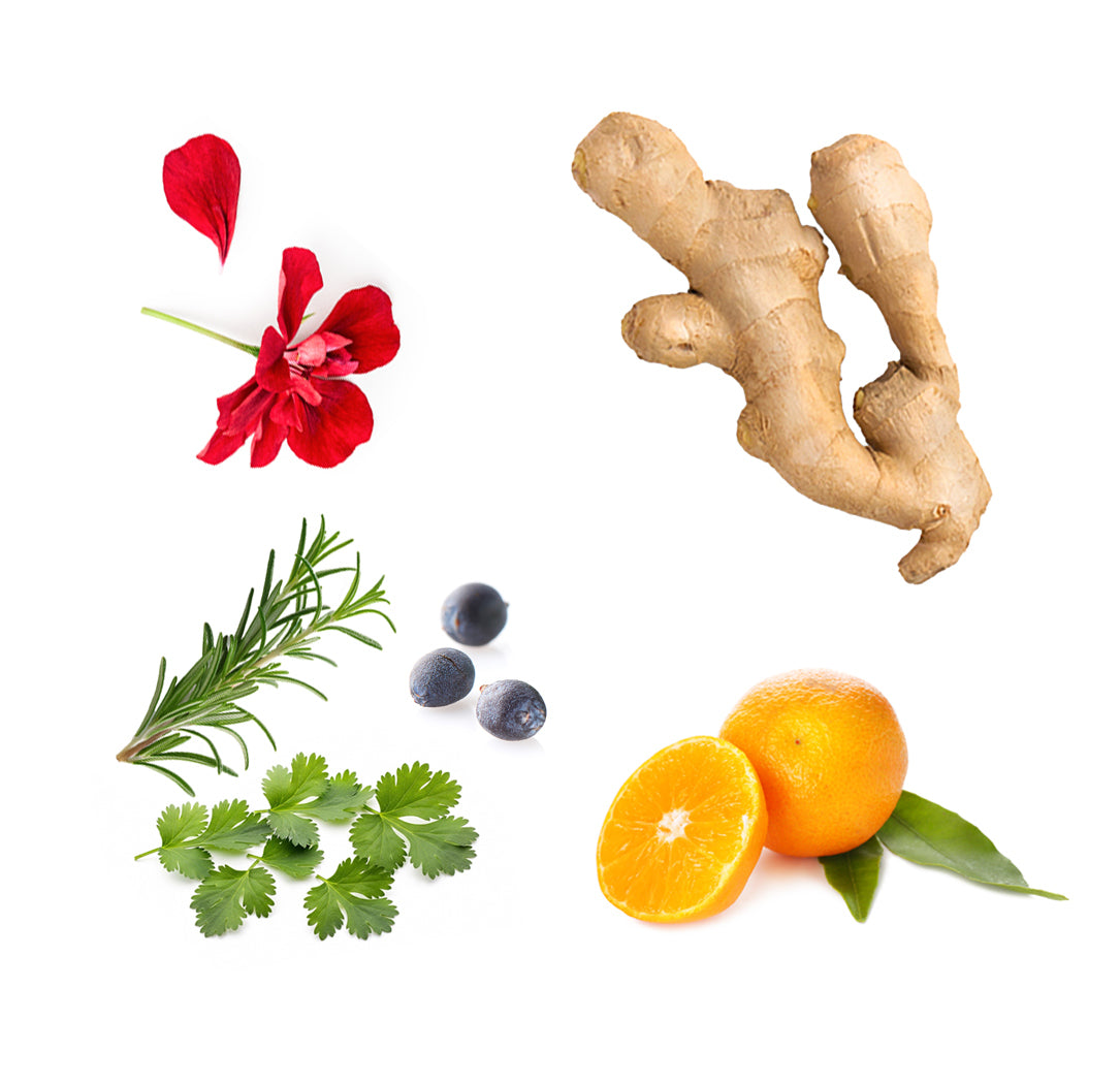 Doterra RevitaZen+ food supplement - what is inside?