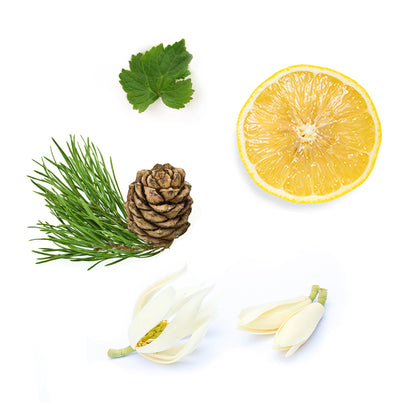 Doterra Shinrin-yoku beard and hair oil what is inside